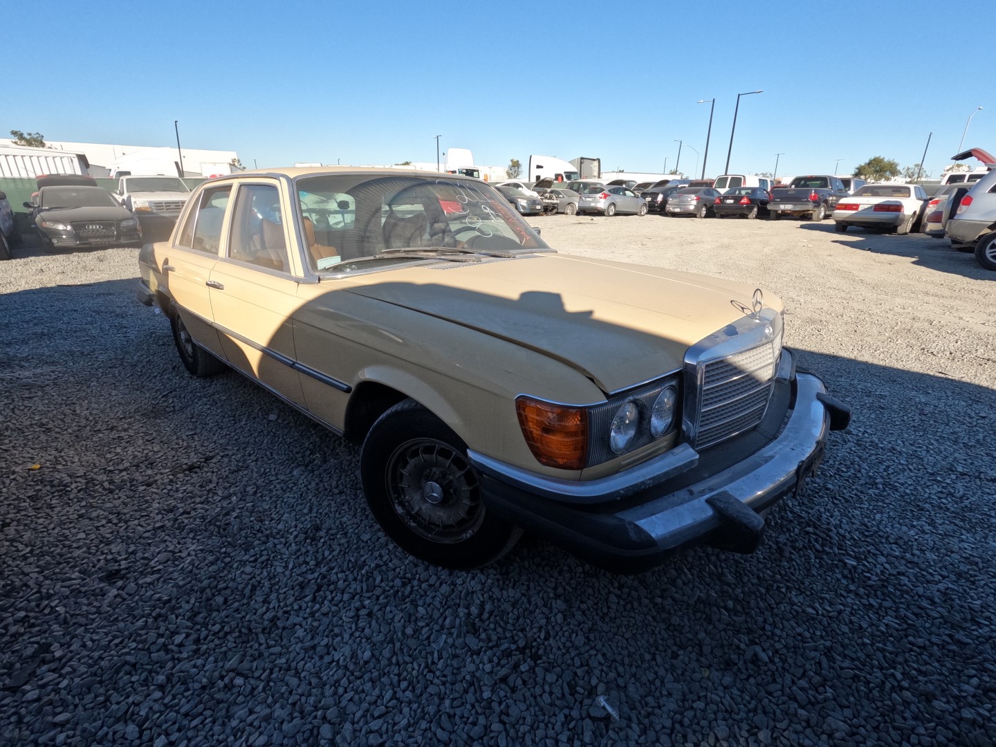 1980 MERZ 300D