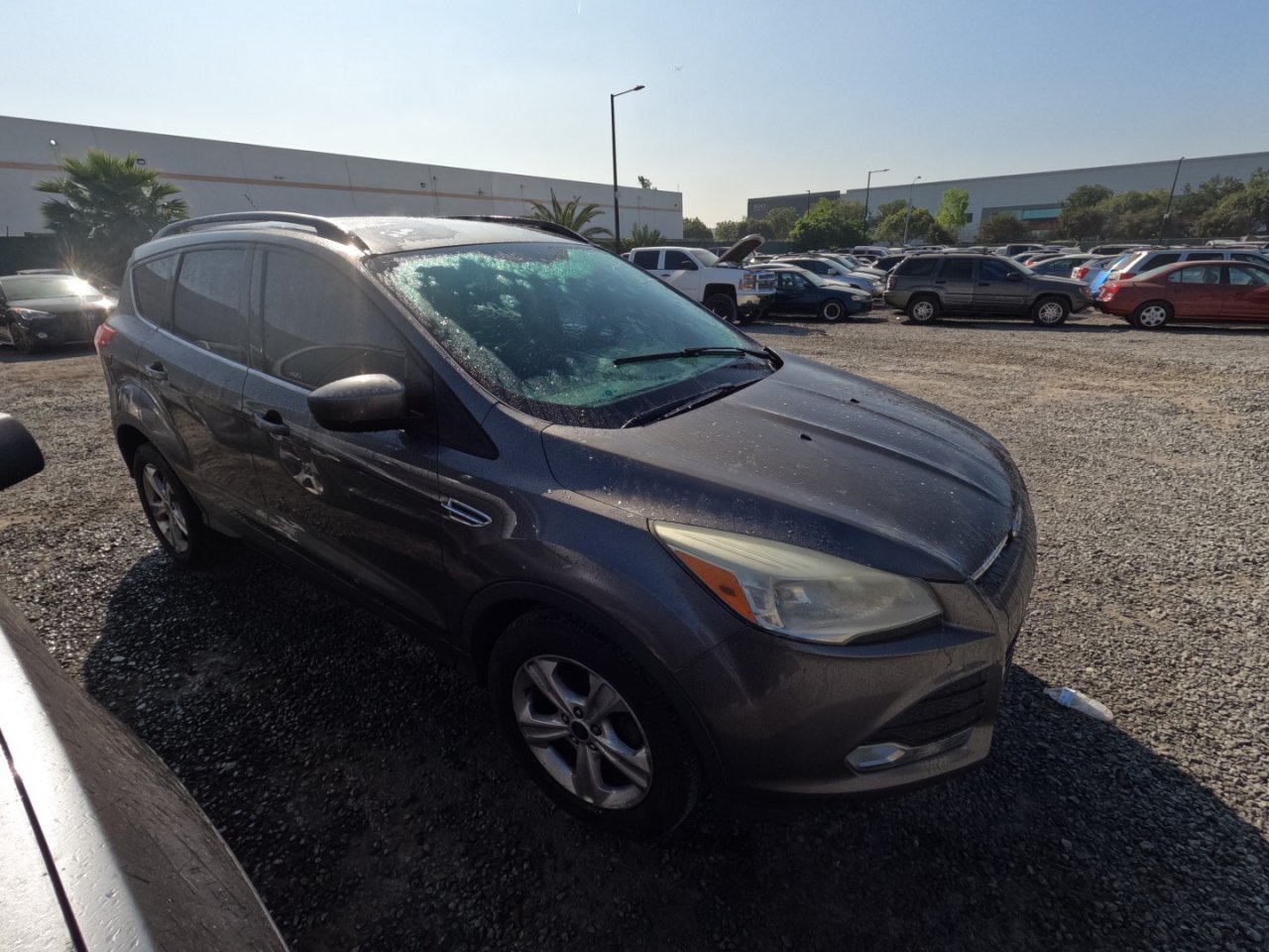 2014 FORD ESCAPE