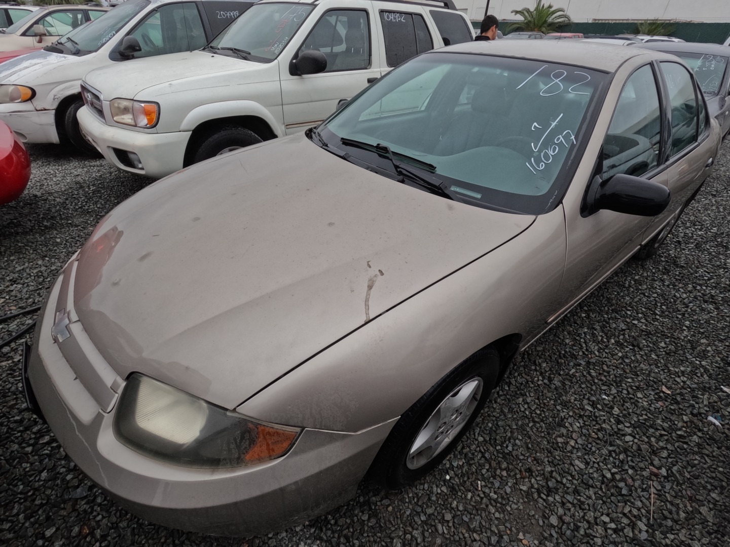 Additional Image