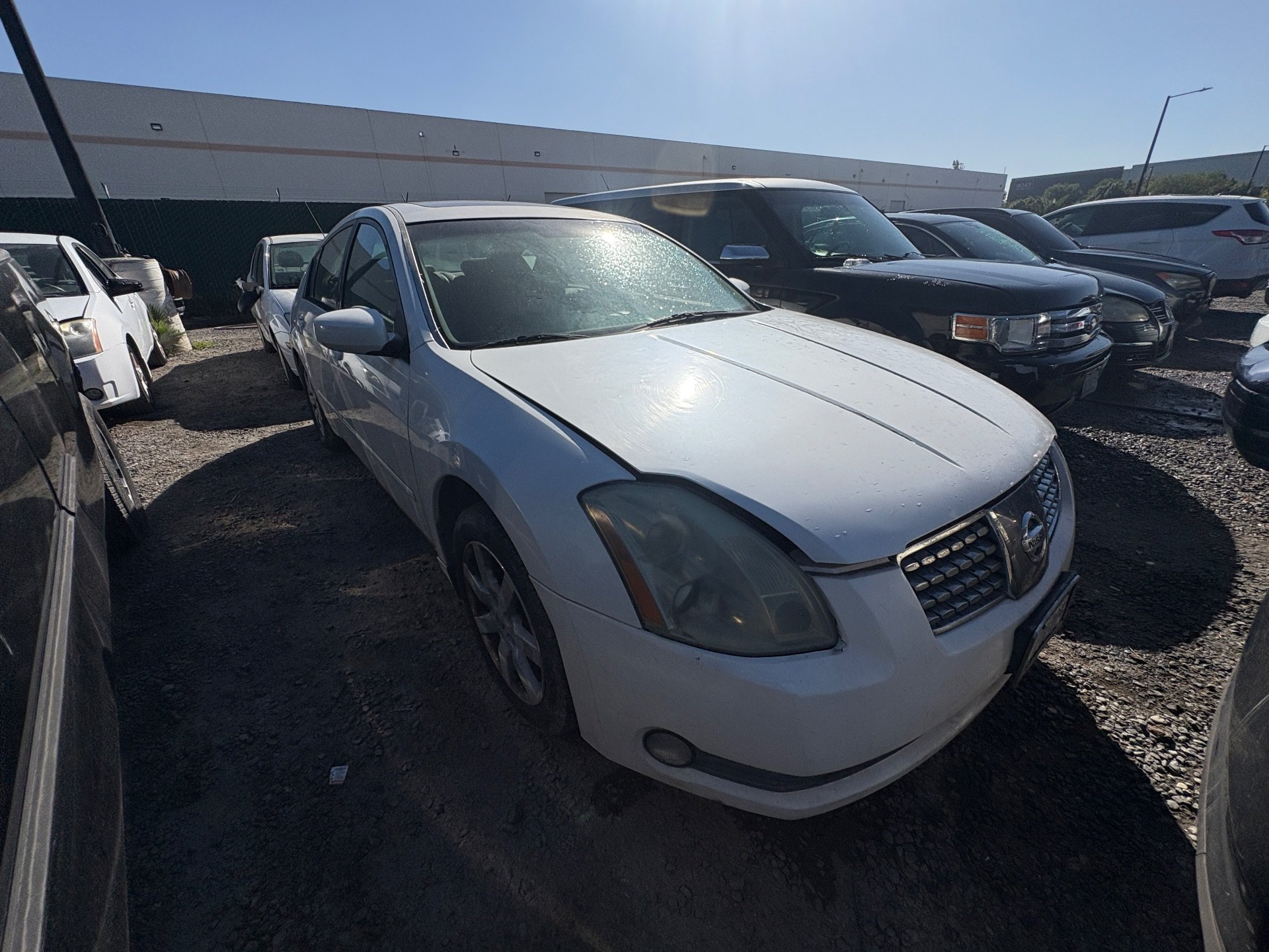 2005 NISSAN MAXIMA — thumbnail 2