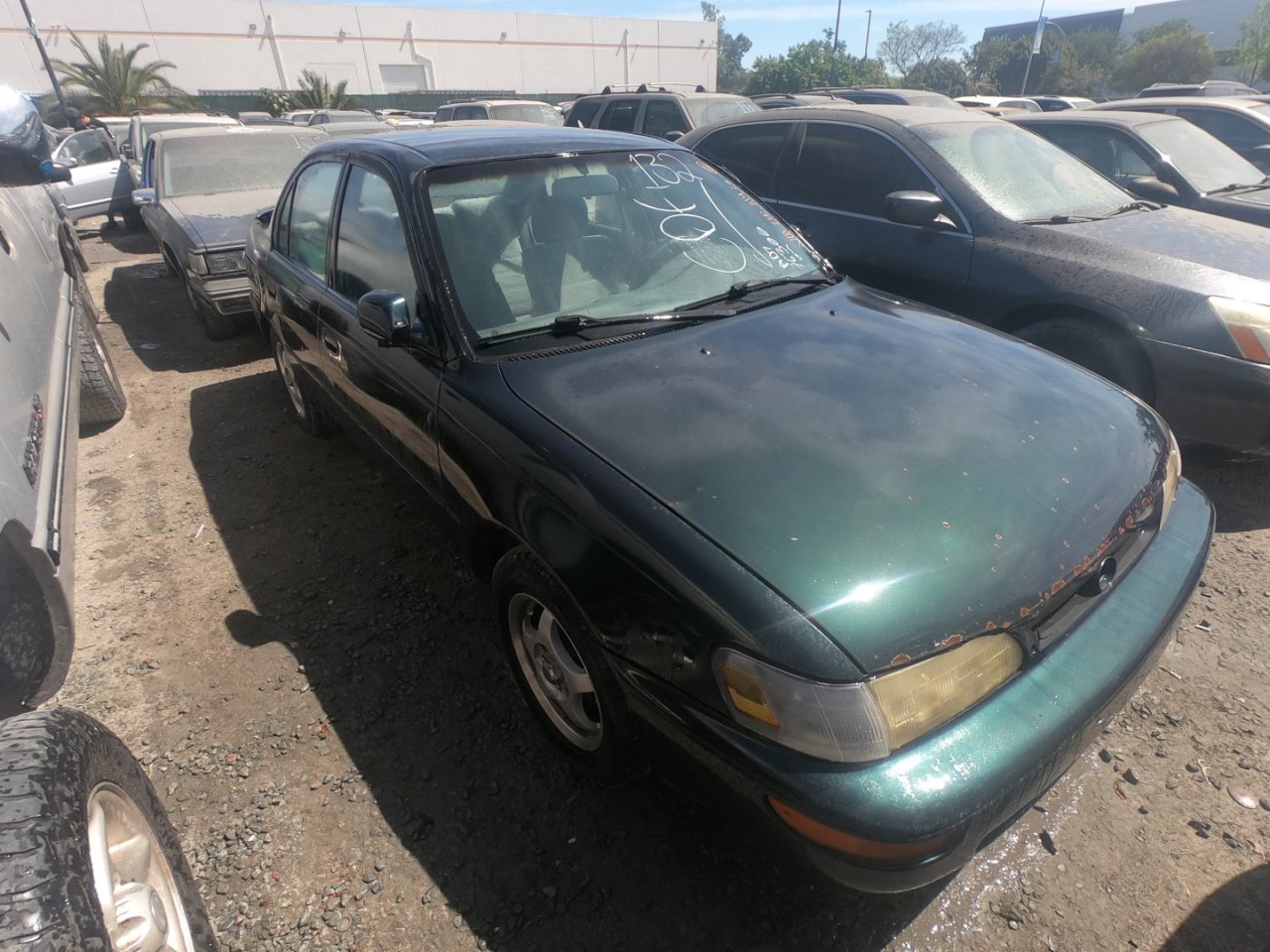 1996 TOYOTA COROLLA