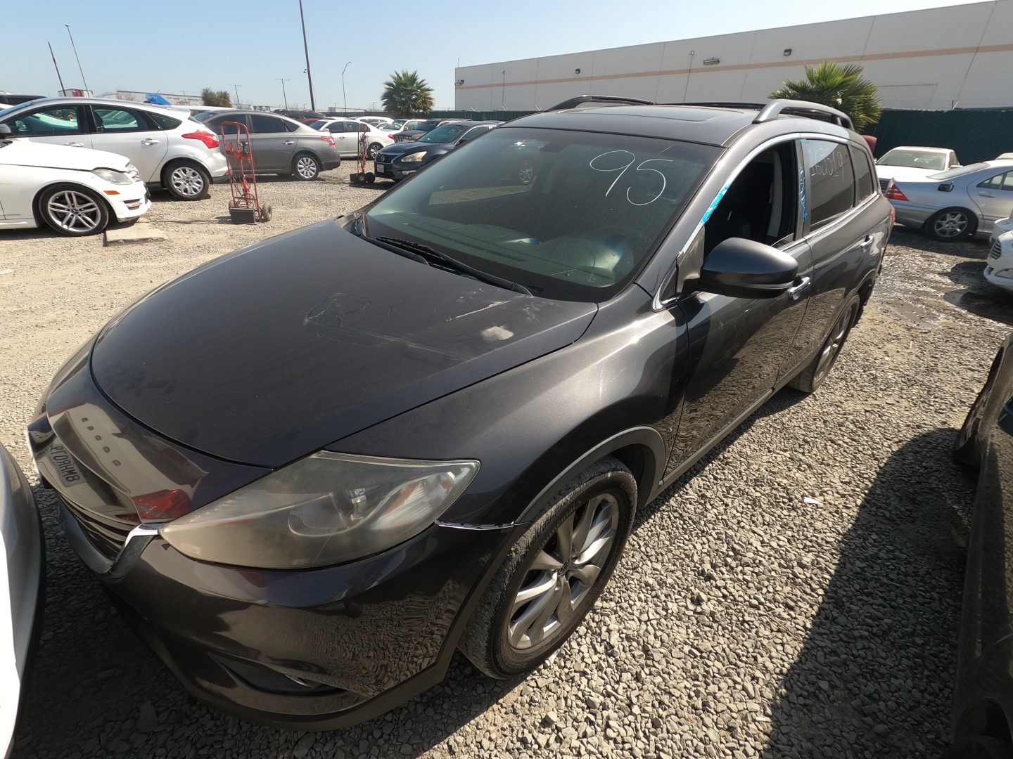 Additional Image