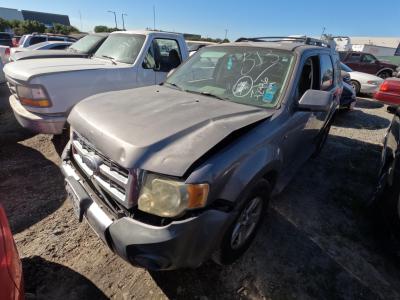 Vehicle: 2008 FORD ESCAPE (Lot 313)